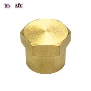 หมวกอุดเกลียวใน ทองเหลือง 3129