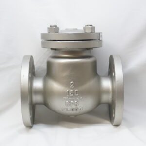 ปั้ม & วาล์วอุตสาหกรรม ISO: AMSI DIN JIS