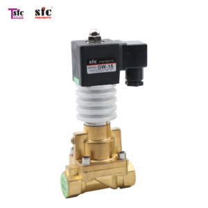 2/2 WAY HIGH TEMPERATURE SOLENOID VALVE GW