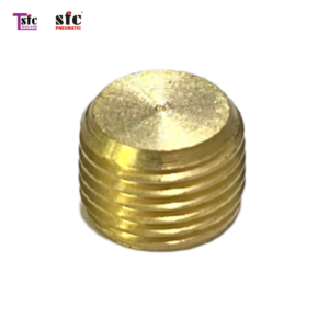 ตัวอุดหัวจมทองเหลือง BD